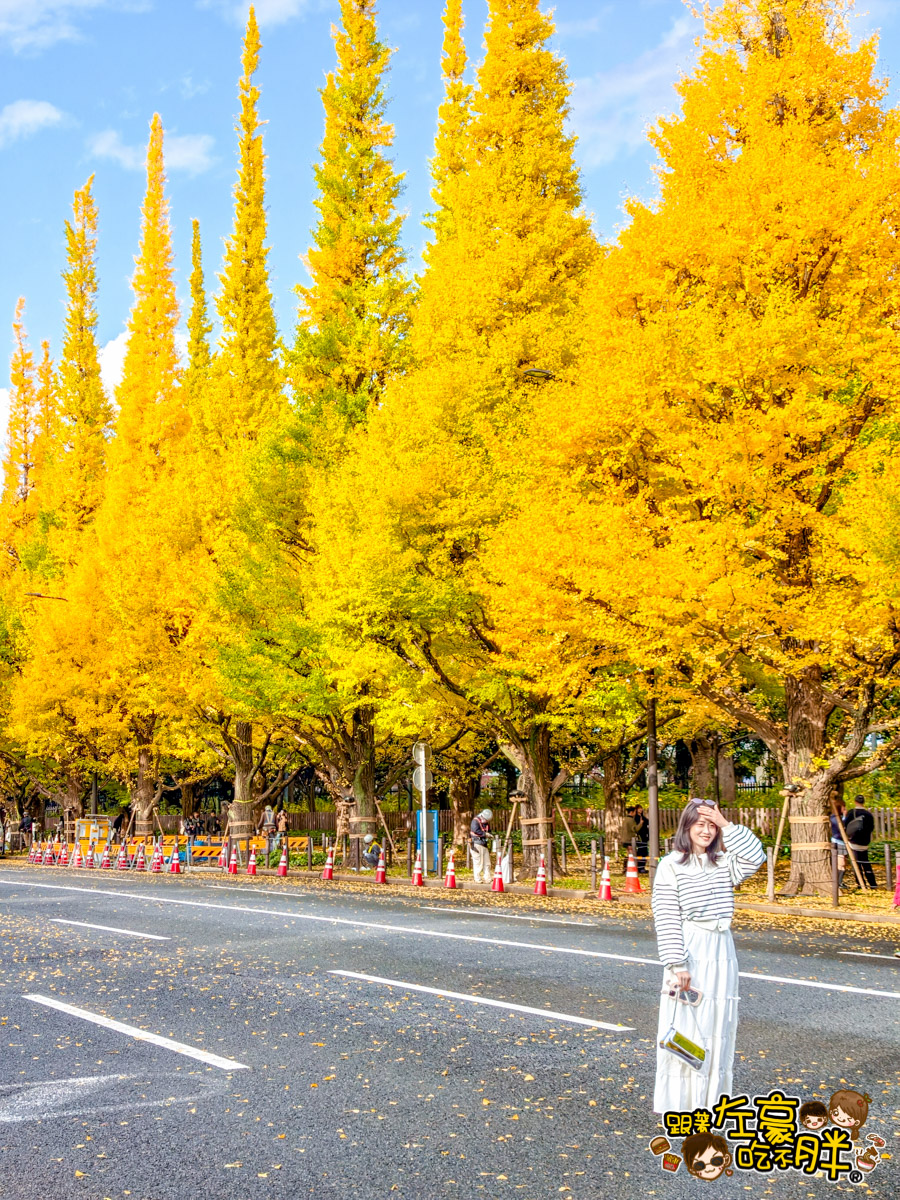 めいじじんぐうがいえん,明治神宮,明治神宮外苑,東京旅遊,東京景點,東京港區,東京自由行,自助旅行,銀杏林