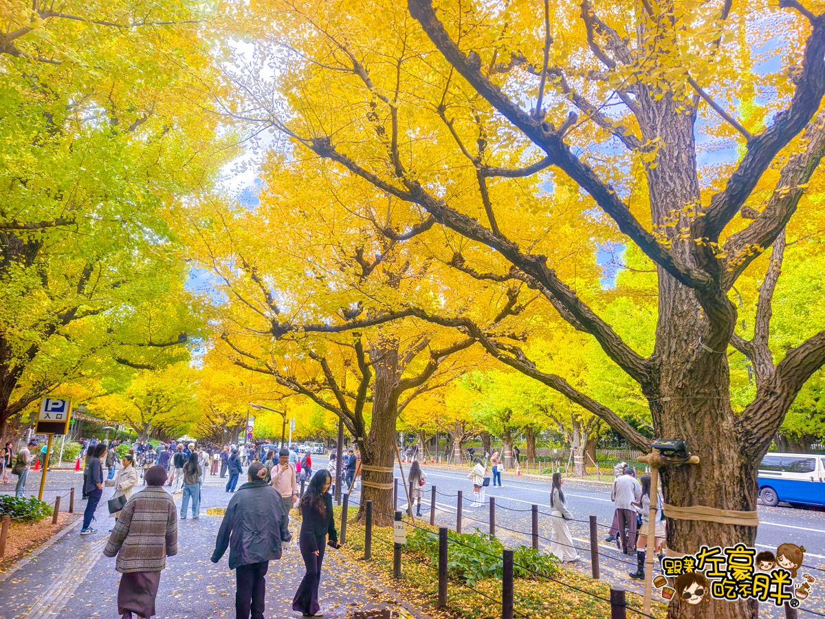 めいじじんぐうがいえん,明治神宮,明治神宮外苑,東京旅遊,東京景點,東京港區,東京自由行,自助旅行,銀杏林
