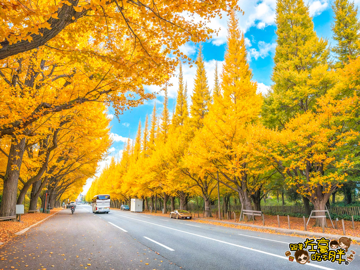 めいじじんぐうがいえん,明治神宮,明治神宮外苑,東京旅遊,東京景點,東京港區,東京自由行,自助旅行,銀杏林