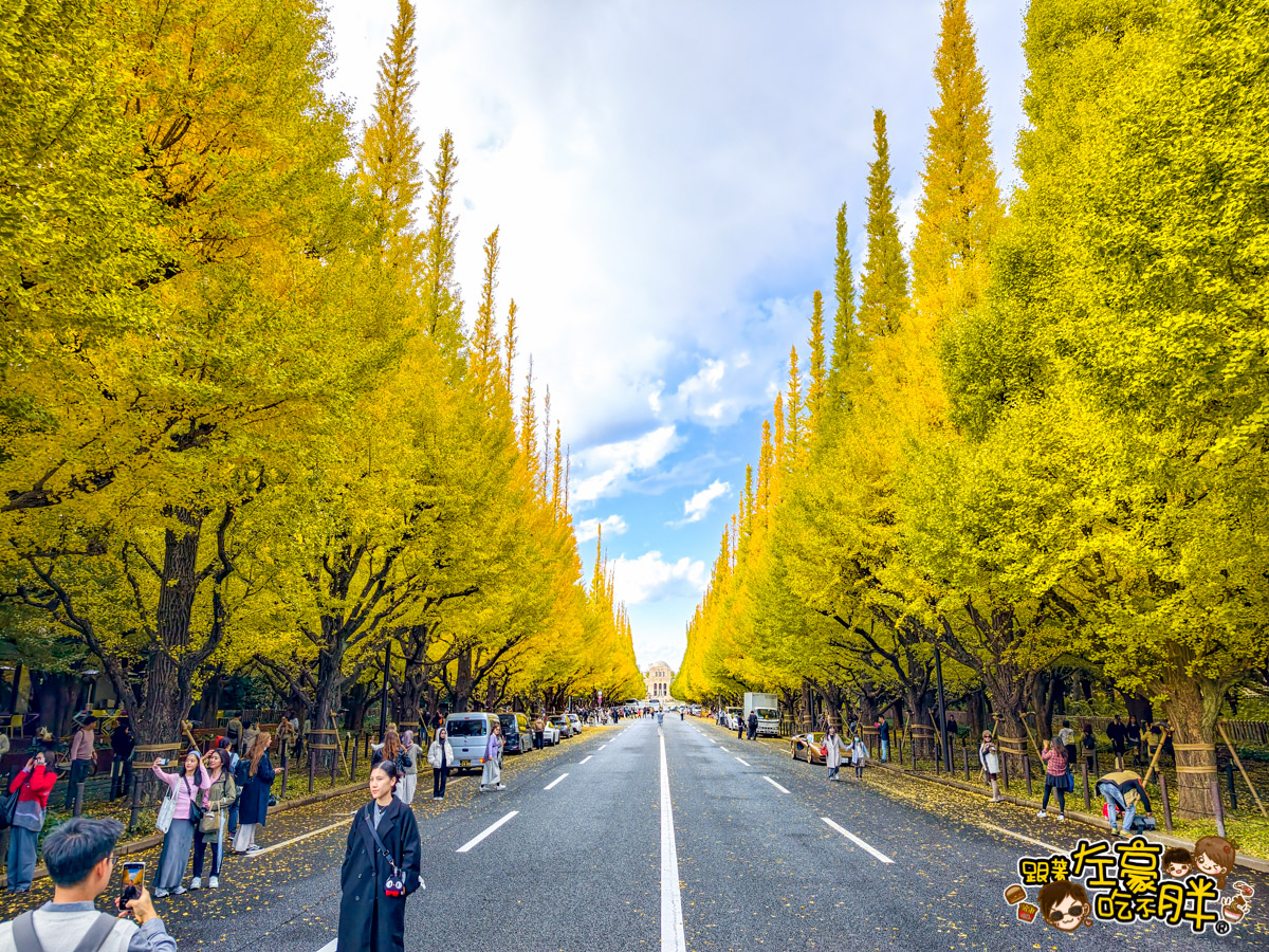 めいじじんぐうがいえん,明治神宮,明治神宮外苑,東京旅遊,東京景點,東京港區,東京自由行,自助旅行,銀杏林
