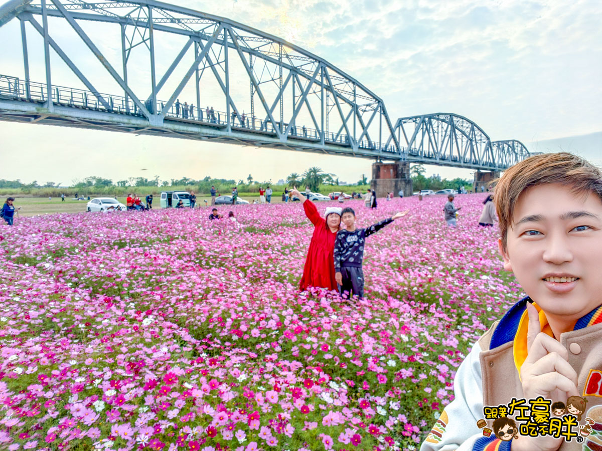 2026賞花景點推薦,免費夢幻花海推薦,屏東旅遊,屏東景點,屏東舊鐵橋花海,戶外景點,花海,賞花景點