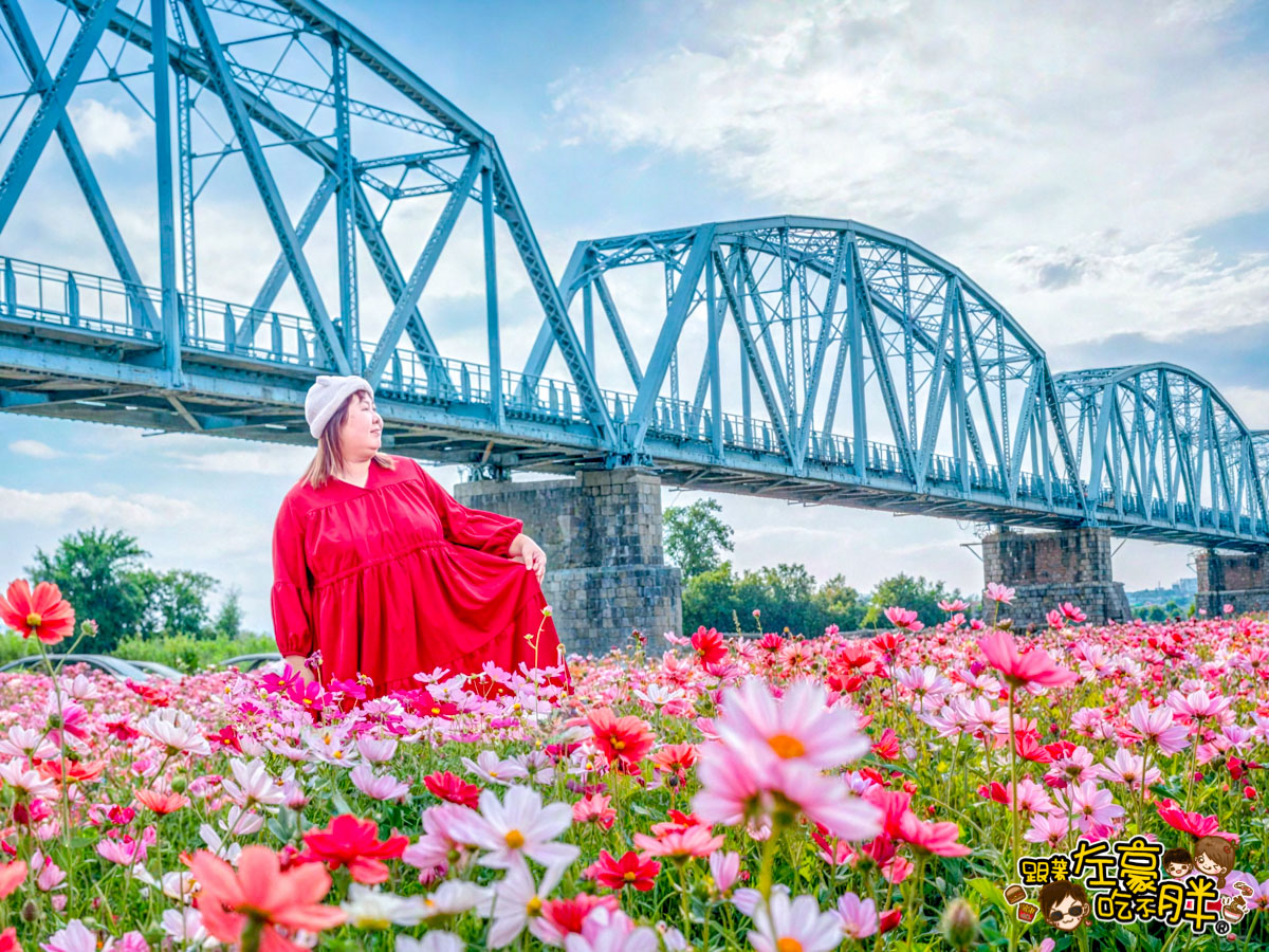 2026賞花景點推薦,免費夢幻花海推薦,屏東旅遊,屏東景點,屏東舊鐵橋花海,戶外景點,花海,賞花景點