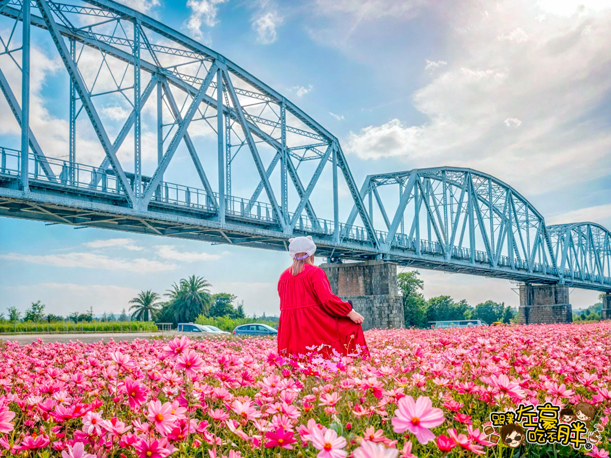 網站近期文章：2026屏東景點推薦,舊鐵橋花海開炸~免門票夢幻波斯菊花海,處處變身花仙子！