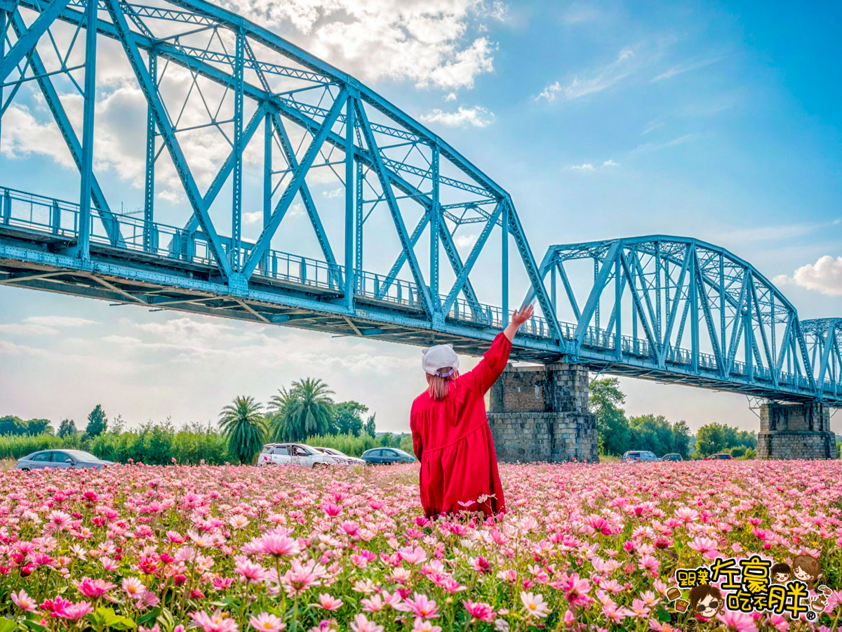 2026賞花景點推薦,免費夢幻花海推薦,屏東旅遊,屏東景點,屏東舊鐵橋花海,戶外景點,花海,賞花景點