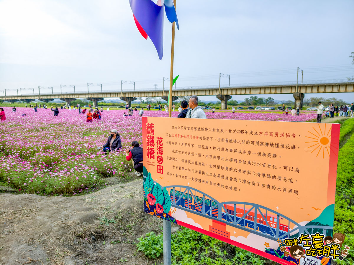 2026賞花景點推薦,免費夢幻花海推薦,屏東旅遊,屏東景點,屏東舊鐵橋花海,戶外景點,花海,賞花景點