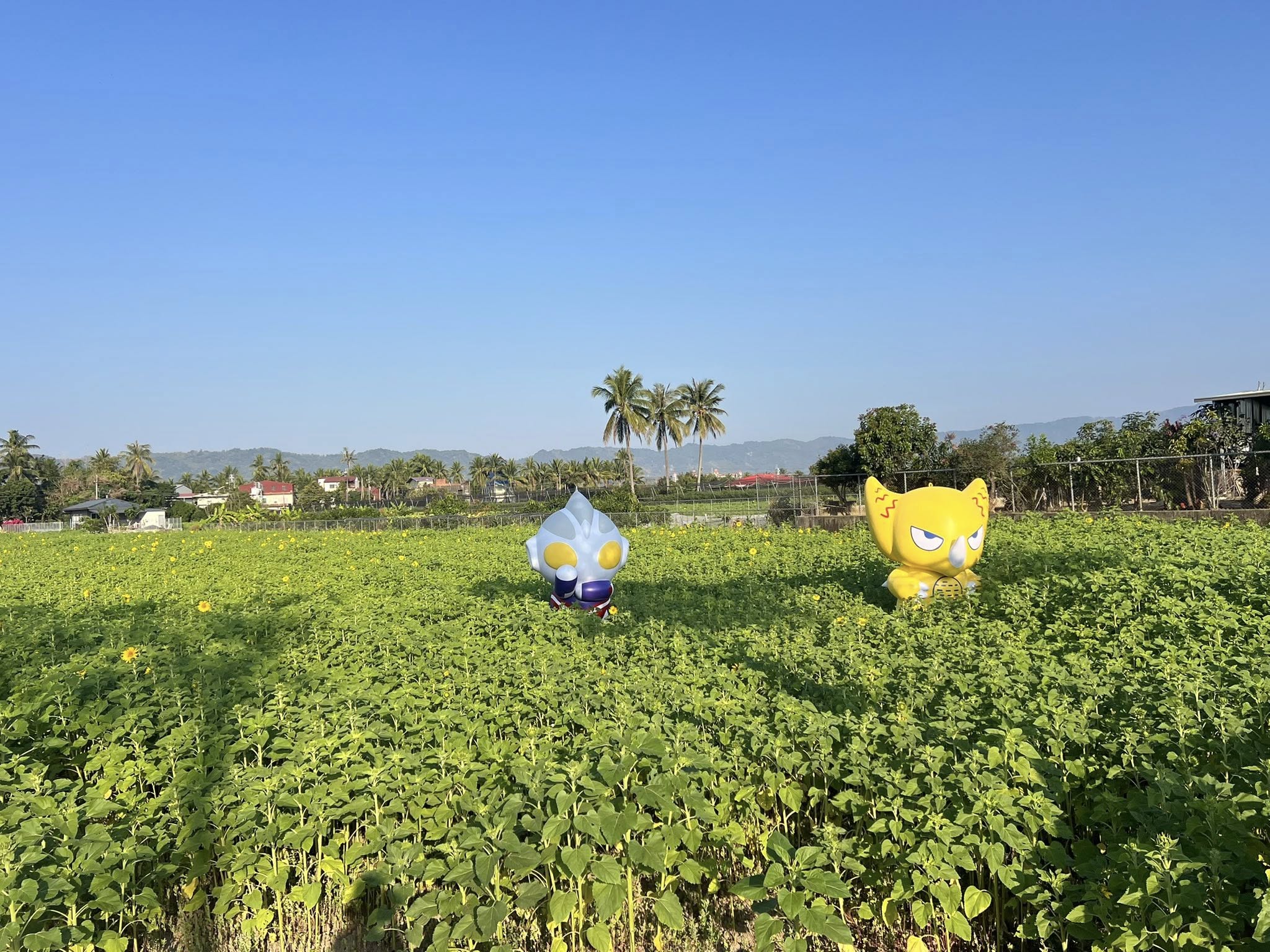 冰品,客家菜,小吃,採果,約會景點,美濃旅遊,美濃景點,美濃湖,美濃美食,美濃花海,菸仕物所,高雄旅遊,麻糬 冰品,客家菜,小吃,採果,約會景點,美濃旅遊,美濃景點,美濃湖,美濃美食,美濃花海,菸仕物所,高雄旅遊,麻糬