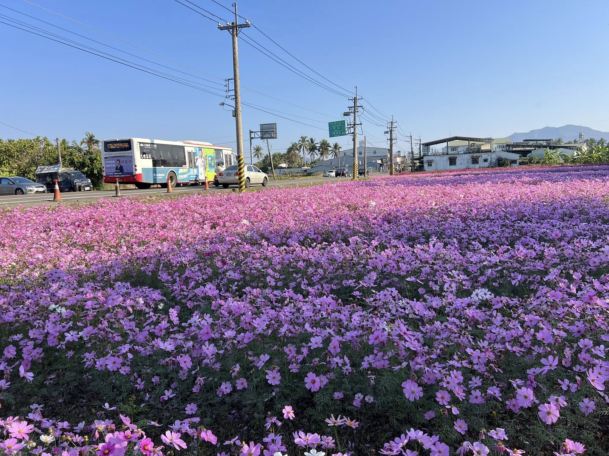 冰品,客家菜,小吃,採果,約會景點,美濃旅遊,美濃景點,美濃湖,美濃美食,美濃花海,菸仕物所,高雄旅遊,麻糬