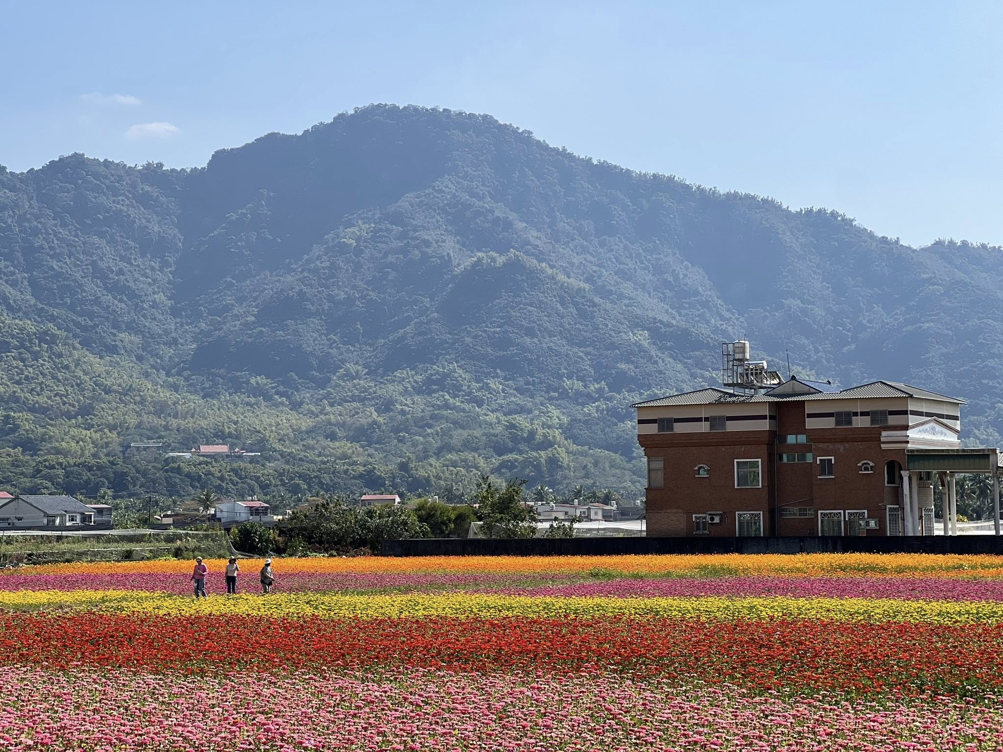 冰品,客家菜,小吃,採果,約會景點,美濃旅遊,美濃景點,美濃湖,美濃美食,美濃花海,菸仕物所,高雄旅遊,麻糬