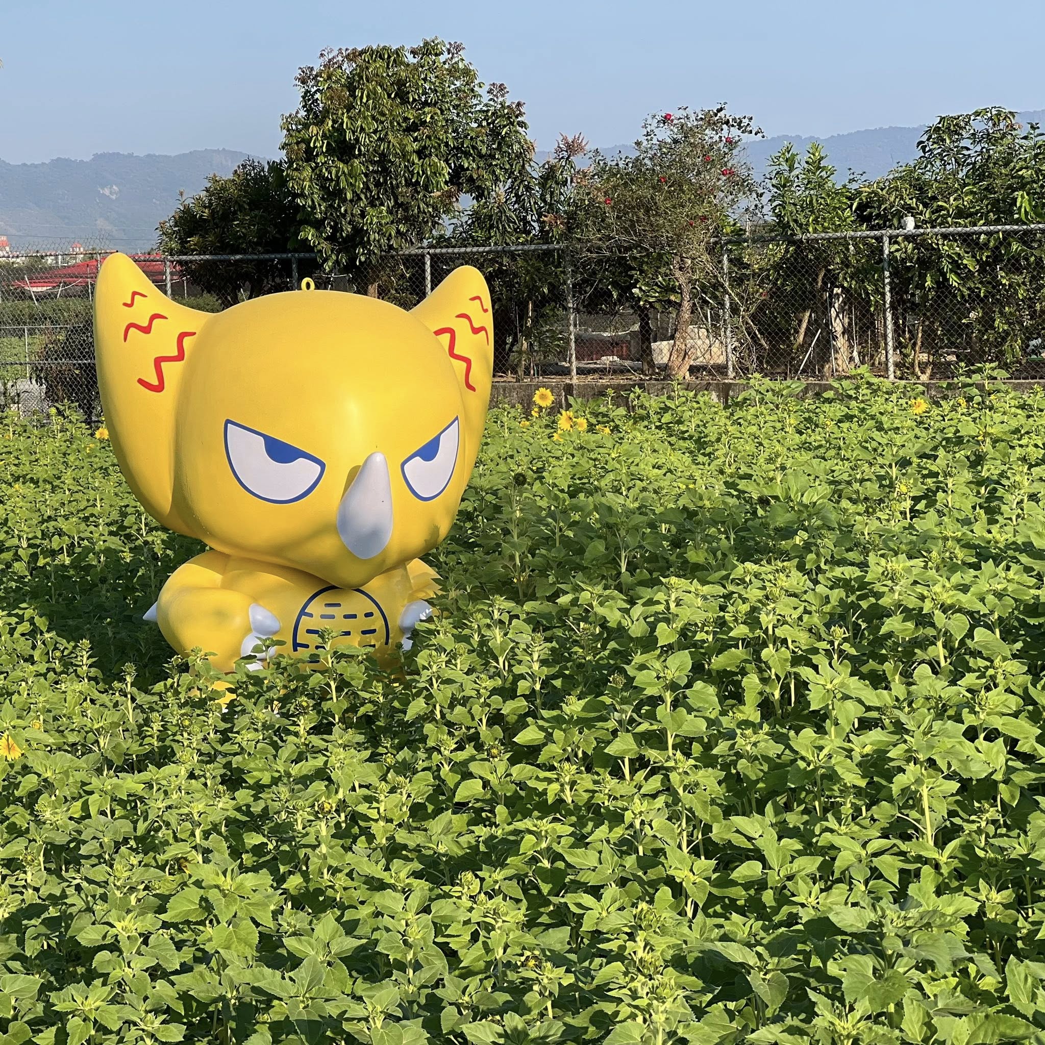 冰品,客家菜,小吃,採果,約會景點,美濃旅遊,美濃景點,美濃湖,美濃美食,美濃花海,菸仕物所,高雄旅遊,麻糬