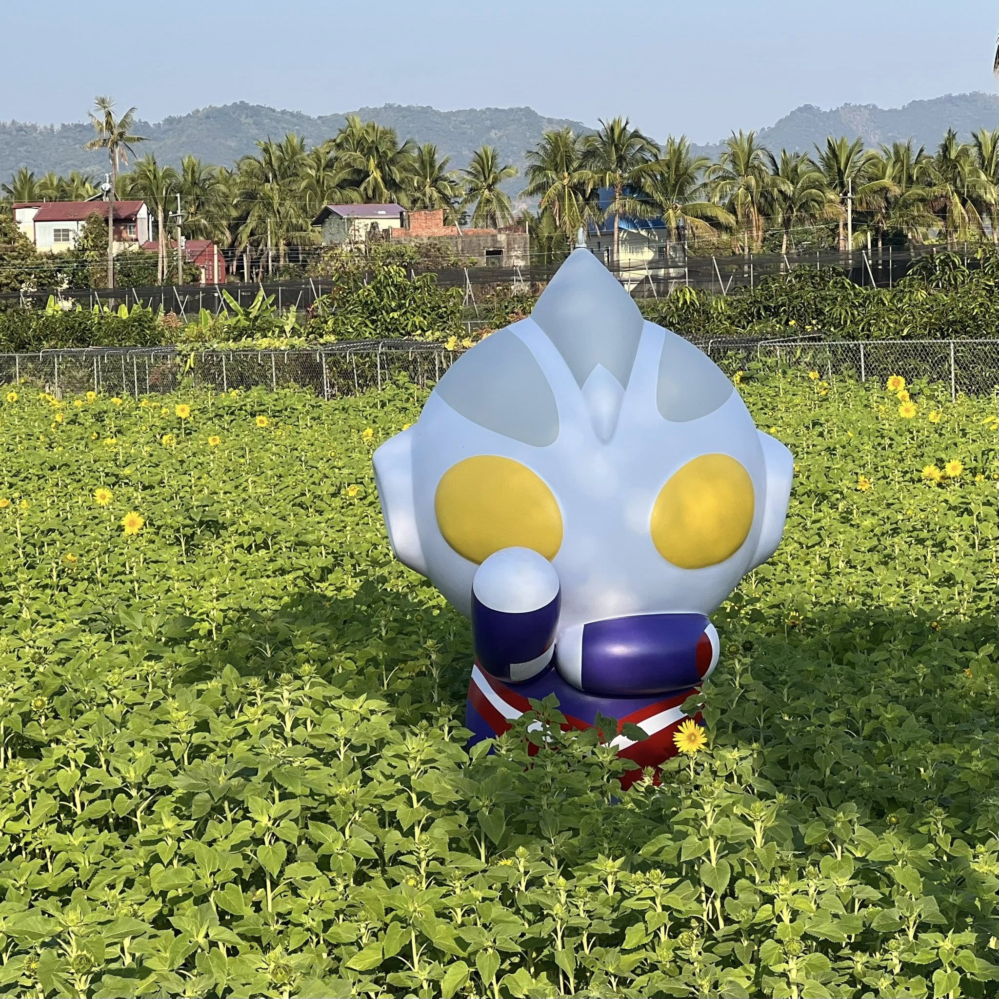 冰品,客家菜,小吃,採果,約會景點,美濃旅遊,美濃景點,美濃湖,美濃美食,美濃花海,菸仕物所,高雄旅遊,麻糬