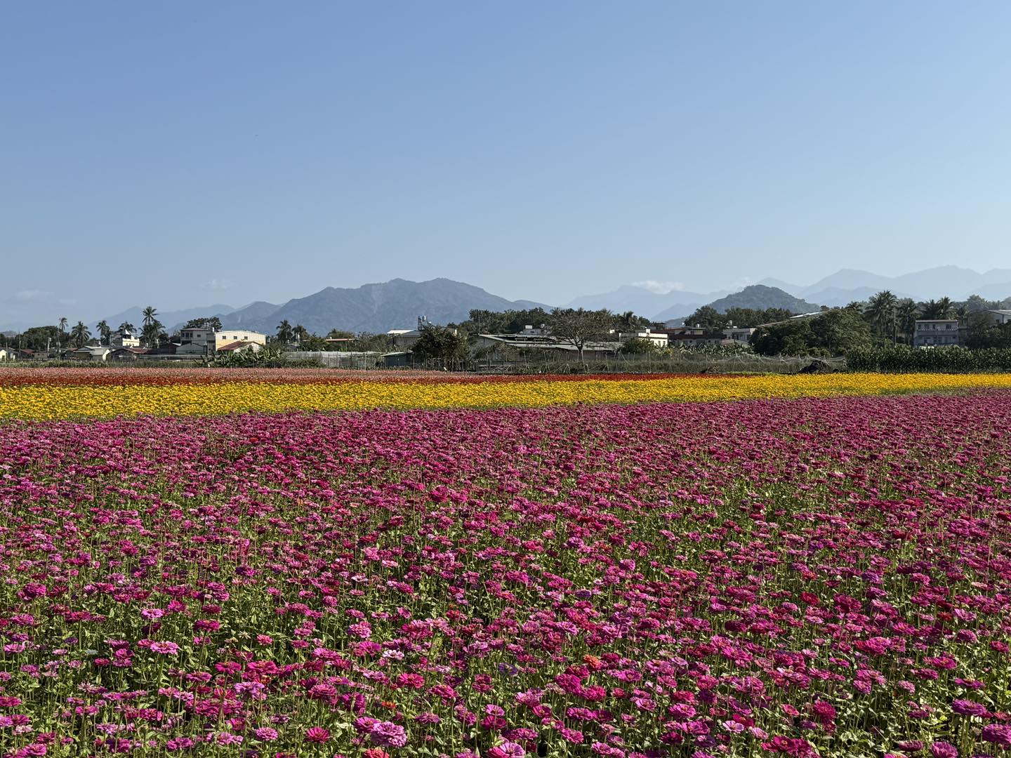 冰品,客家菜,小吃,採果,約會景點,美濃旅遊,美濃景點,美濃湖,美濃美食,美濃花海,菸仕物所,高雄旅遊,麻糬