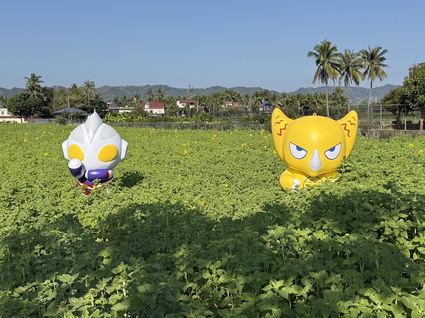 冰品,客家菜,小吃,採果,約會景點,美濃旅遊,美濃景點,美濃湖,美濃美食,美濃花海,菸仕物所,高雄旅遊,麻糬