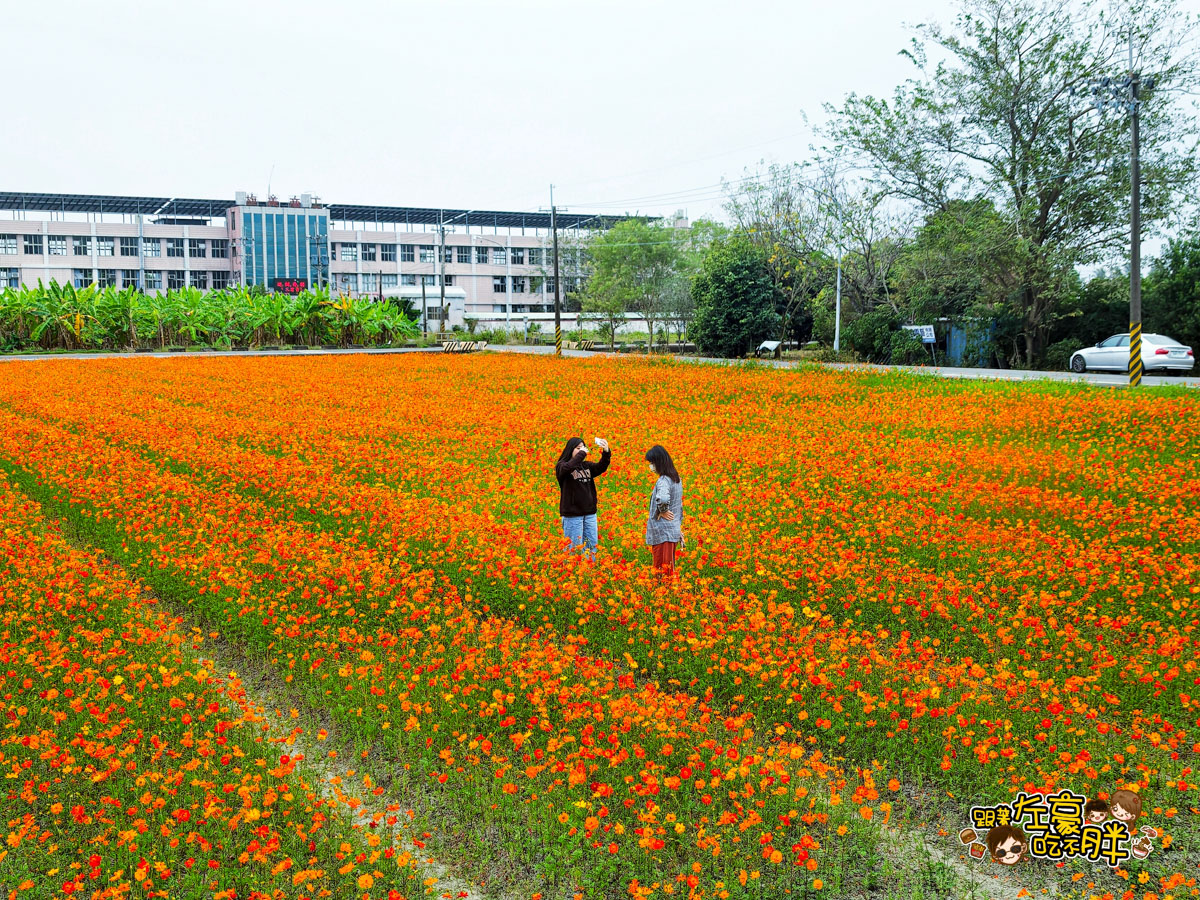 冰品,客家菜,小吃,採果,約會景點,美濃旅遊,美濃景點,美濃湖,美濃美食,美濃花海,菸仕物所,高雄旅遊,麻糬 冰品,客家菜,小吃,採果,約會景點,美濃旅遊,美濃景點,美濃湖,美濃美食,美濃花海,菸仕物所,高雄旅遊,麻糬