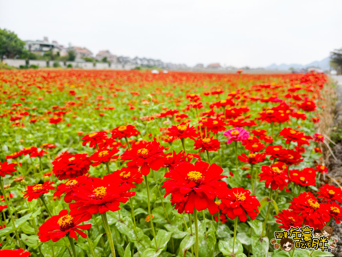 冰品,客家菜,小吃,採果,約會景點,美濃旅遊,美濃景點,美濃湖,美濃美食,美濃花海,菸仕物所,高雄旅遊,麻糬