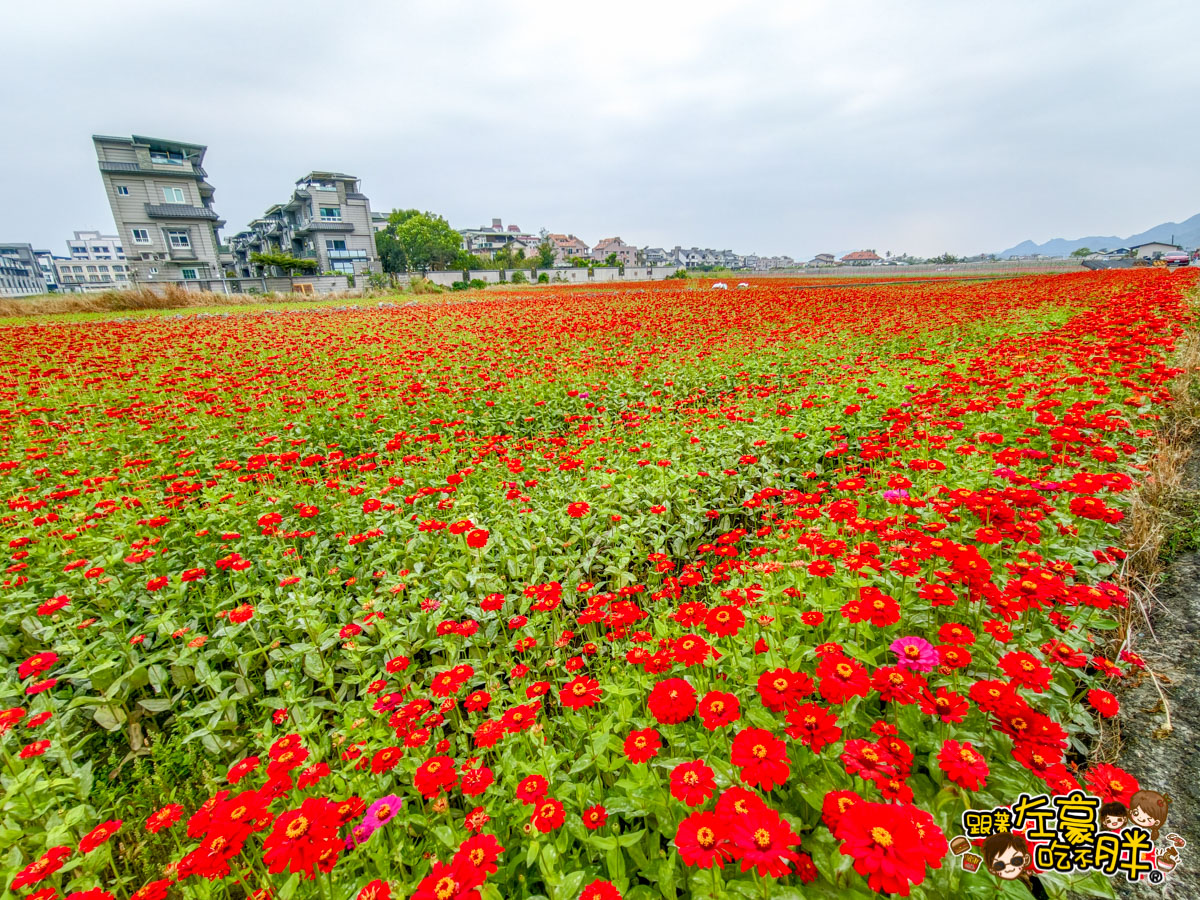 冰品,客家菜,小吃,採果,約會景點,美濃旅遊,美濃景點,美濃湖,美濃美食,美濃花海,菸仕物所,高雄旅遊,麻糬