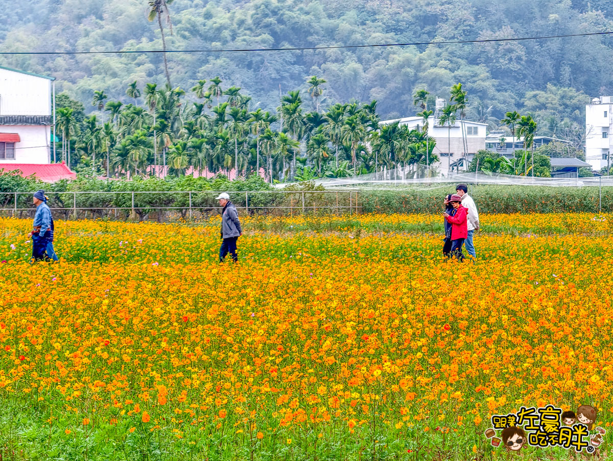 冰品,客家菜,小吃,採果,約會景點,美濃旅遊,美濃景點,美濃湖,美濃美食,美濃花海,菸仕物所,高雄旅遊,麻糬