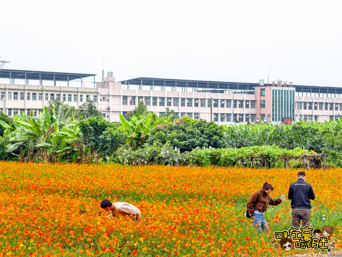 冰品,客家菜,小吃,採果,約會景點,美濃旅遊,美濃景點,美濃湖,美濃美食,美濃花海,菸仕物所,高雄旅遊,麻糬 冰品,客家菜,小吃,採果,約會景點,美濃旅遊,美濃景點,美濃湖,美濃美食,美濃花海,菸仕物所,高雄旅遊,麻糬
