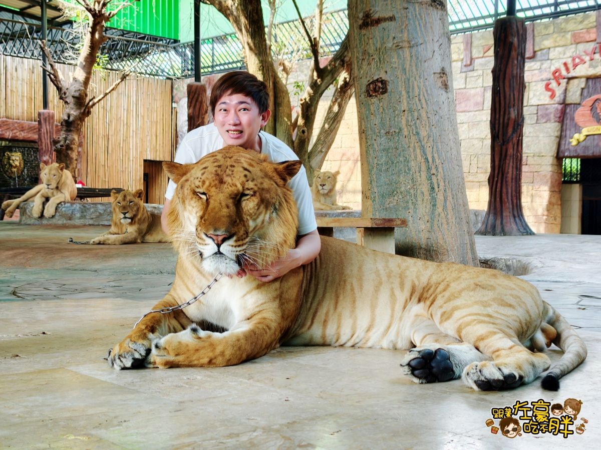 Airasia,Bangkok,DMK,Don Mueang International Airport,亞洲航空,小港機場,廊曼機場,曼谷,泰國自由行,高雄