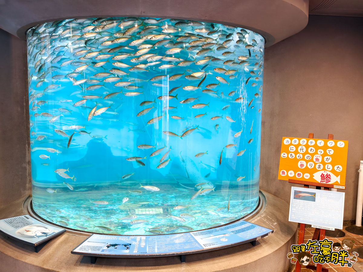 企鵝水族館門票,日本旅遊,日本景點,水族館,約會景點,親子景點,長崎企鵝水族館,長崎景點,長崎水族館