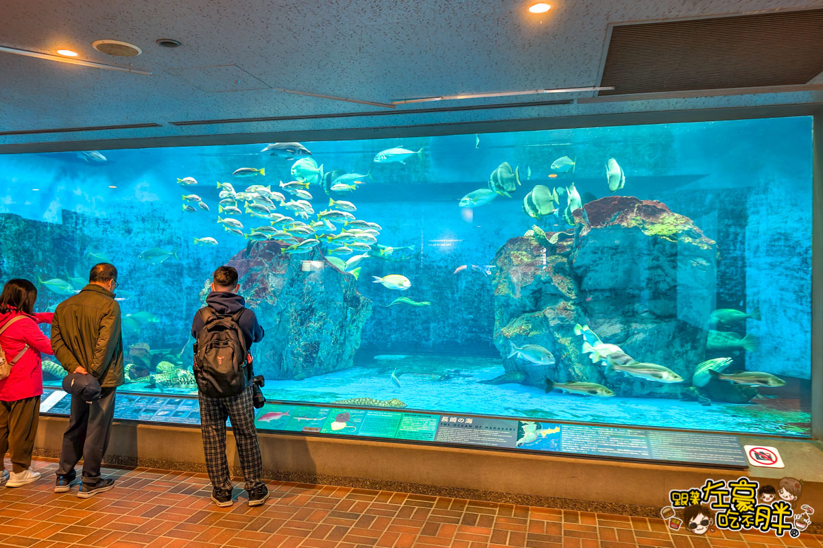 企鵝水族館門票,日本旅遊,日本景點,水族館,約會景點,親子景點,長崎企鵝水族館,長崎景點,長崎水族館