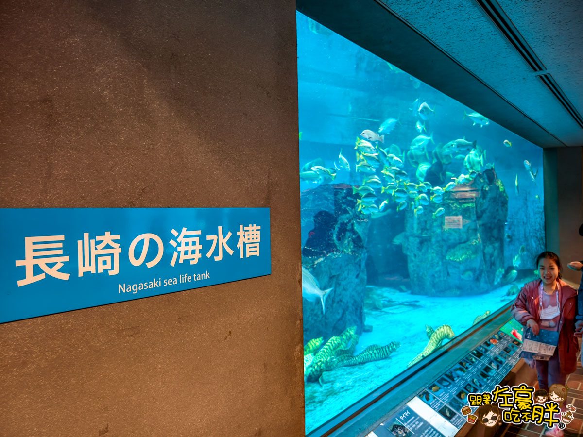 企鵝水族館門票,日本旅遊,日本景點,水族館,約會景點,親子景點,長崎企鵝水族館,長崎景點,長崎水族館