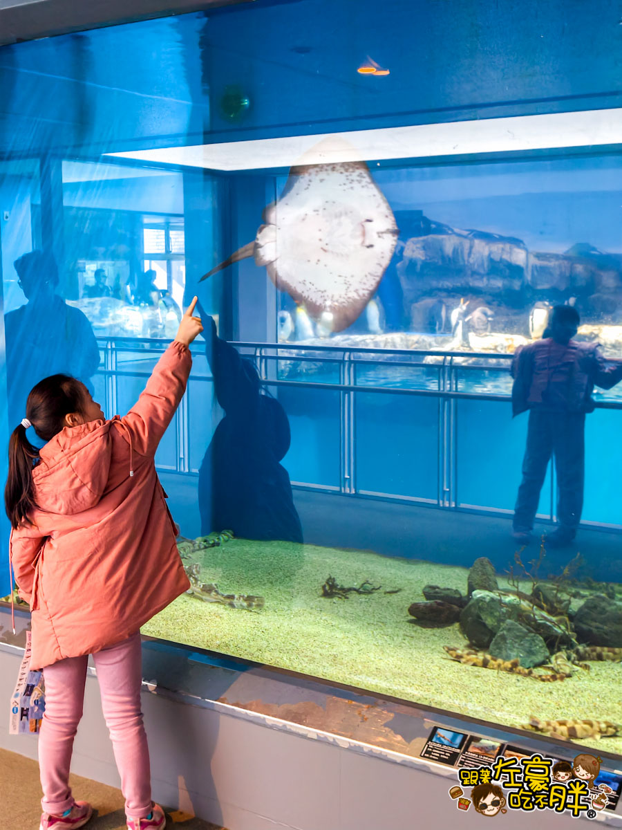 iisa豐崎,佐世保,佐世保五番街,國際通,探索星號,日本景點,沖繩,長崎,麗星郵輪