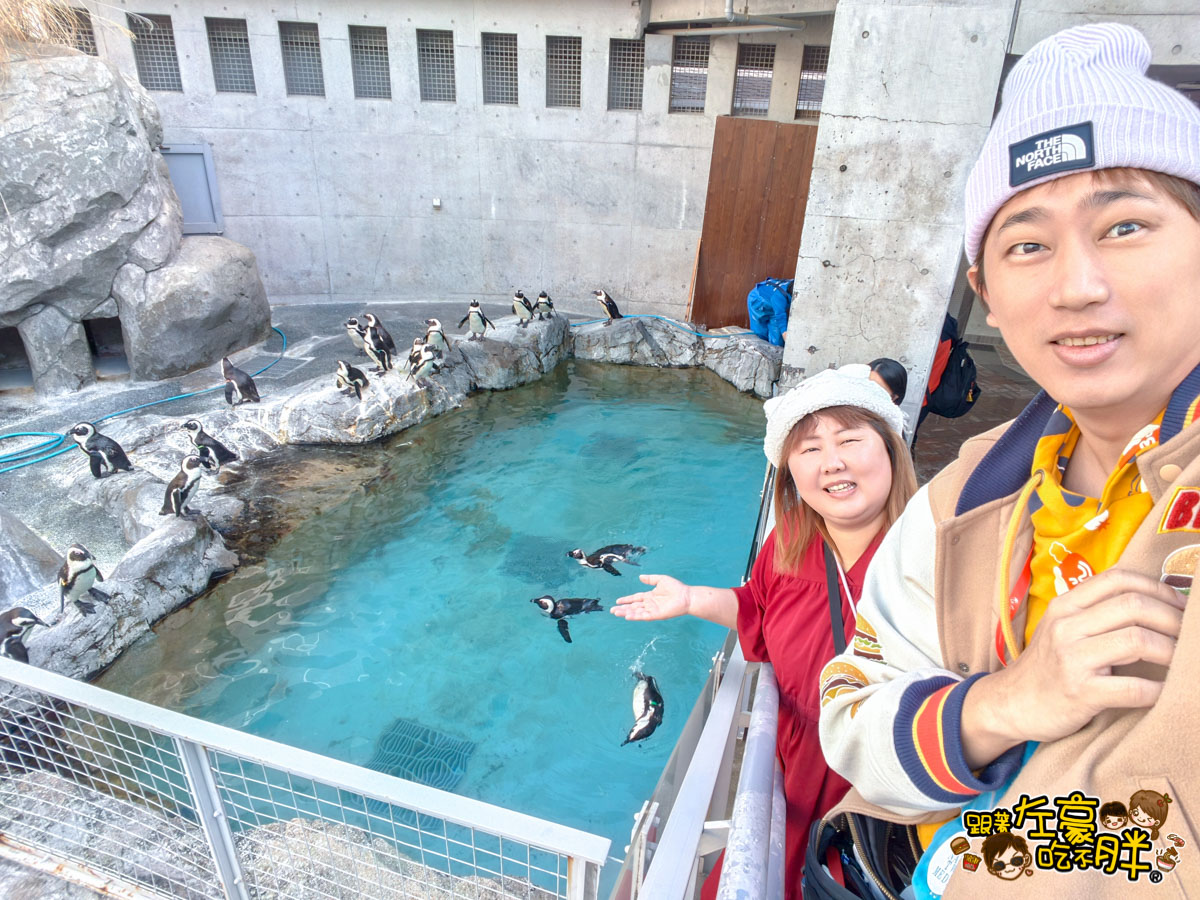 企鵝水族館門票,日本旅遊,日本景點,水族館,約會景點,親子景點,長崎企鵝水族館,長崎景點,長崎水族館