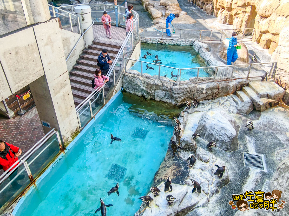 iisa豐崎,佐世保,佐世保五番街,國際通,探索星號,日本景點,沖繩,長崎,麗星郵輪