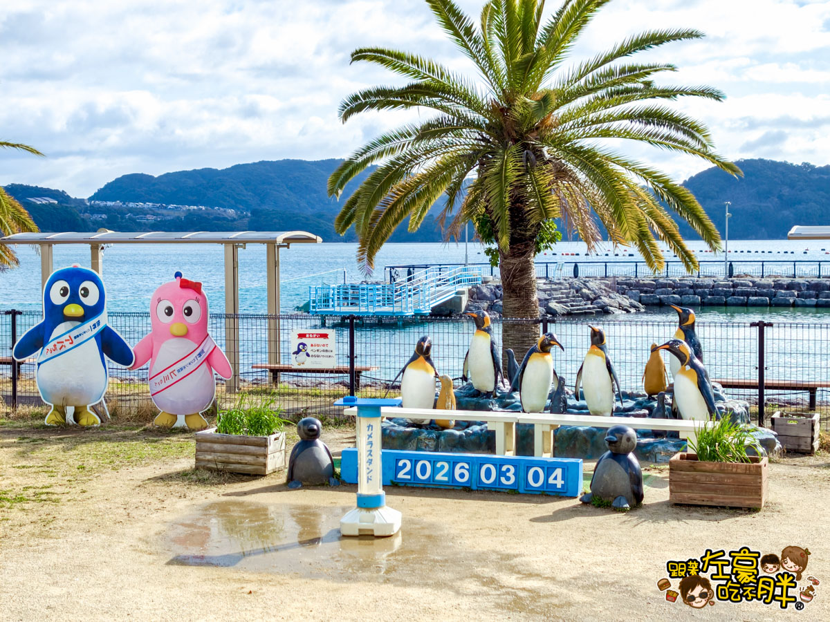 企鵝水族館門票,日本旅遊,日本景點,水族館,約會景點,親子景點,長崎企鵝水族館,長崎景點,長崎水族館