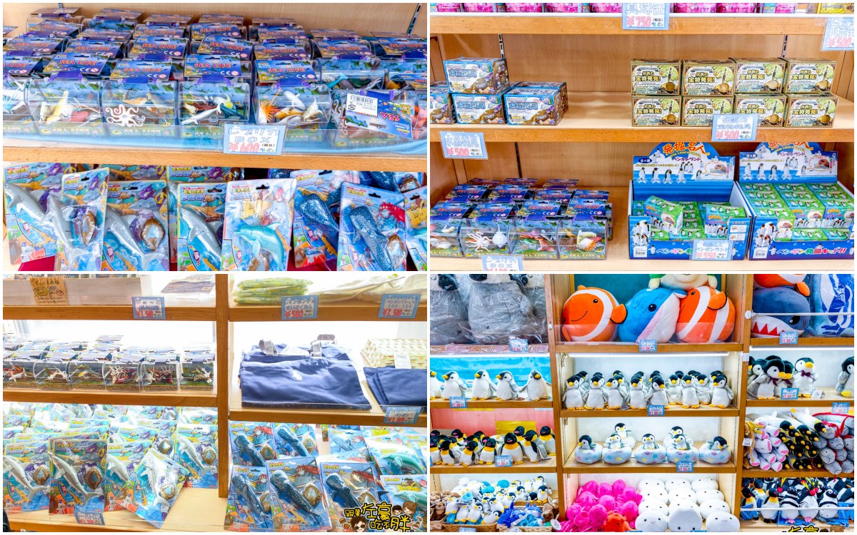 企鵝水族館門票,日本旅遊,日本景點,水族館,約會景點,親子景點,長崎企鵝水族館,長崎景點,長崎水族館