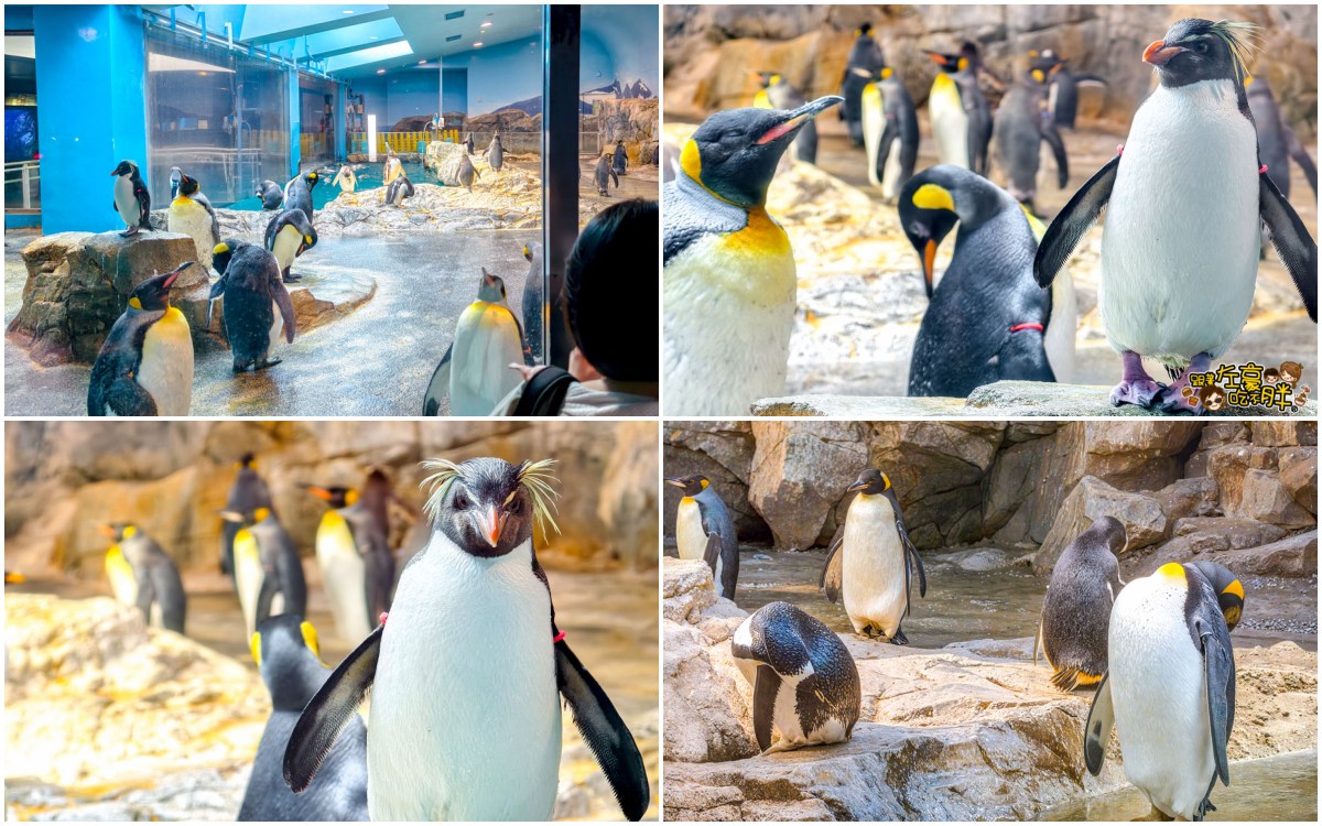 iisa豐崎,佐世保,佐世保五番街,國際通,探索星號,日本景點,沖繩,長崎,麗星郵輪