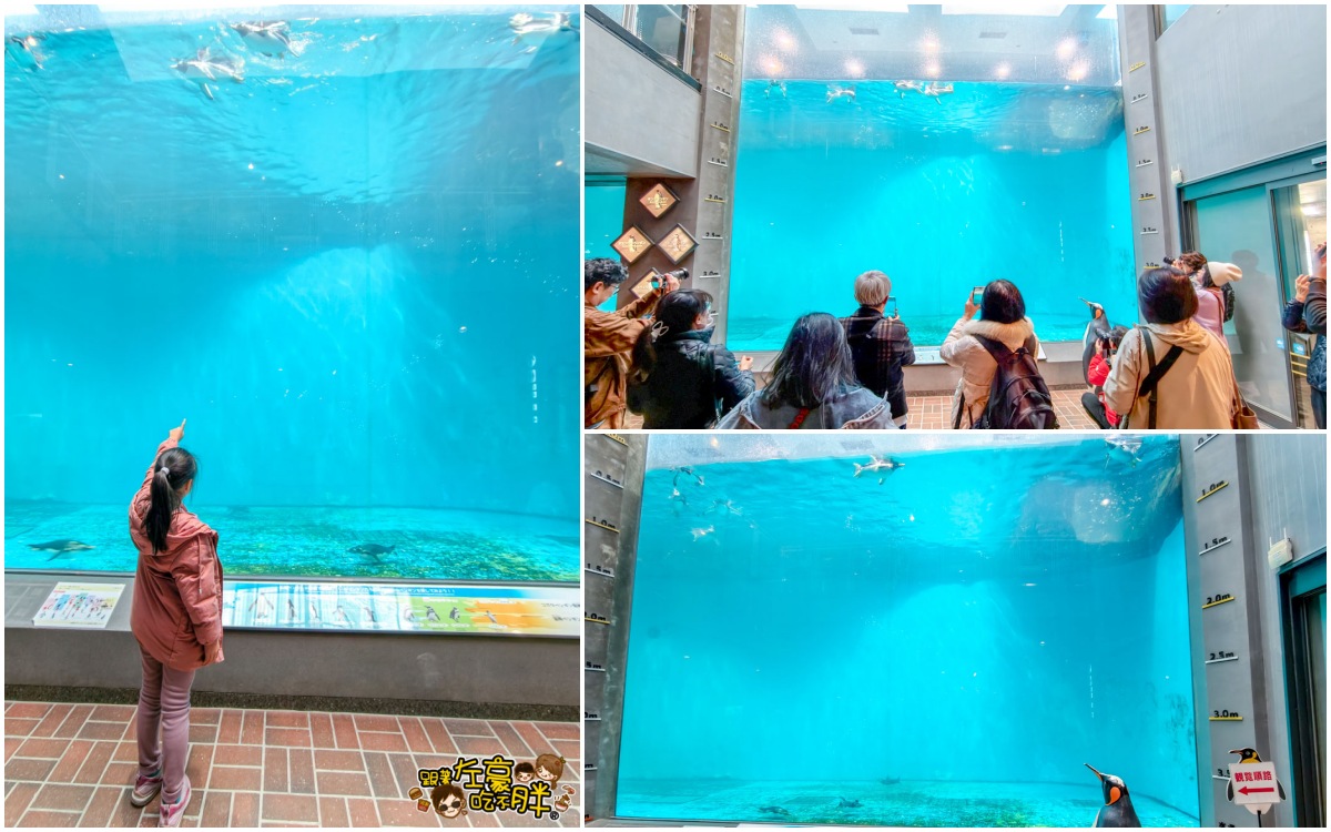 企鵝水族館門票,日本旅遊,日本景點,水族館,約會景點,親子景點,長崎企鵝水族館,長崎景點,長崎水族館
