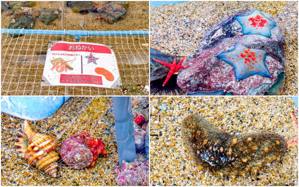 iisa豐崎,佐世保,佐世保五番街,國際通,探索星號,日本景點,沖繩,長崎,麗星郵輪