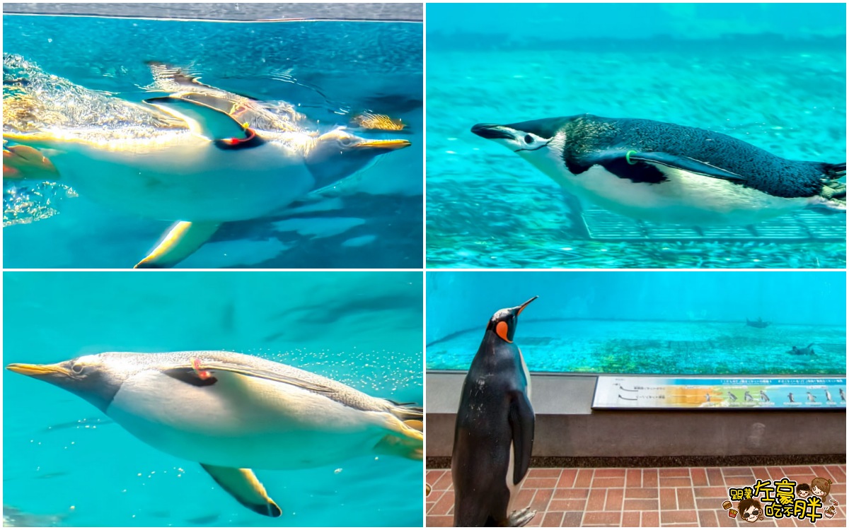 iisa豐崎,佐世保,佐世保五番街,國際通,探索星號,日本景點,沖繩,長崎,麗星郵輪