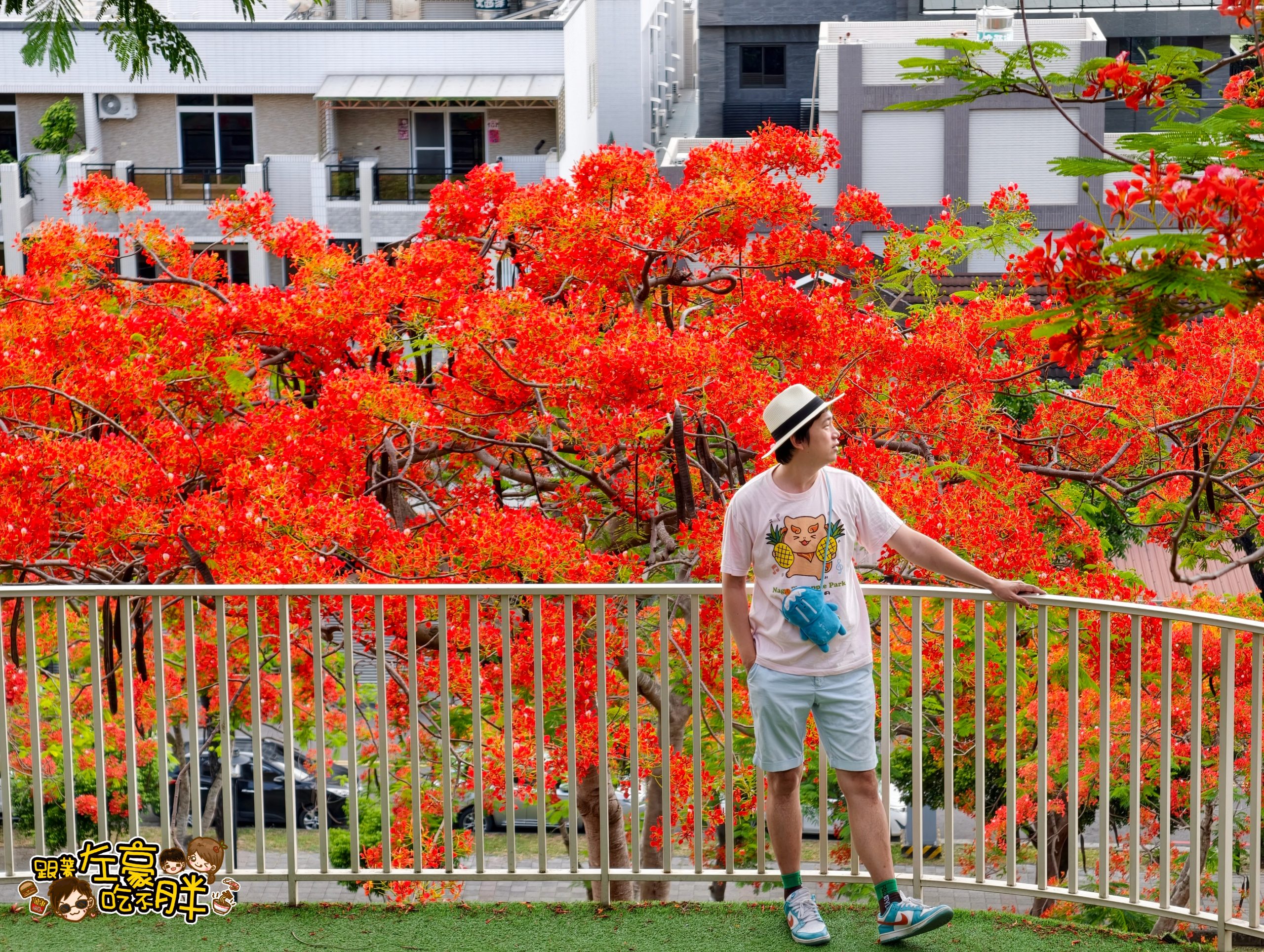 網站近期文章：高雄賞花,坪鳳公園,最美鳳凰花公園,22公尺溜滑梯,鳥兒主題公園