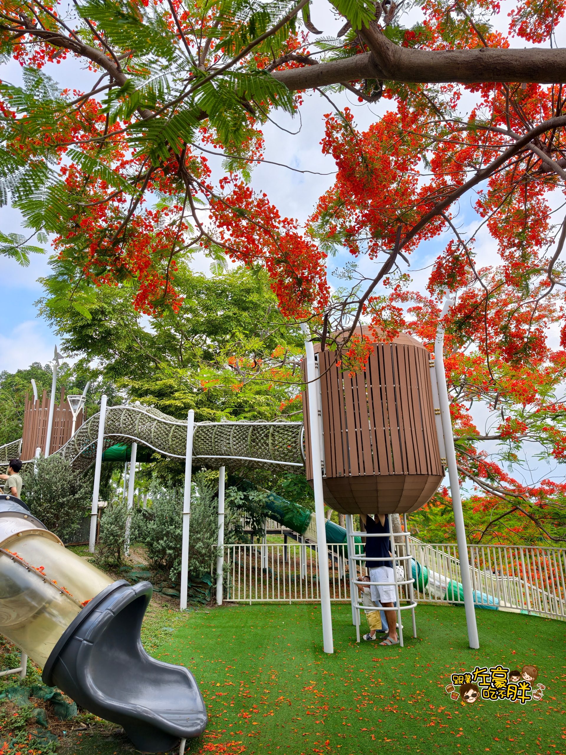 大坪頂坪鳳公園,小港公園,小港景點,小港森林公園,小港機場,淨園農場,特色公園,約會,高雄公園,高雄親子景點,高雄賞花,鳳凰花 大坪頂坪鳳公園,小港公園,小港景點,小港森林公園,小港機場,淨園農場,特色公園,約會,高雄公園,高雄親子景點,高雄賞花,鳳凰花
