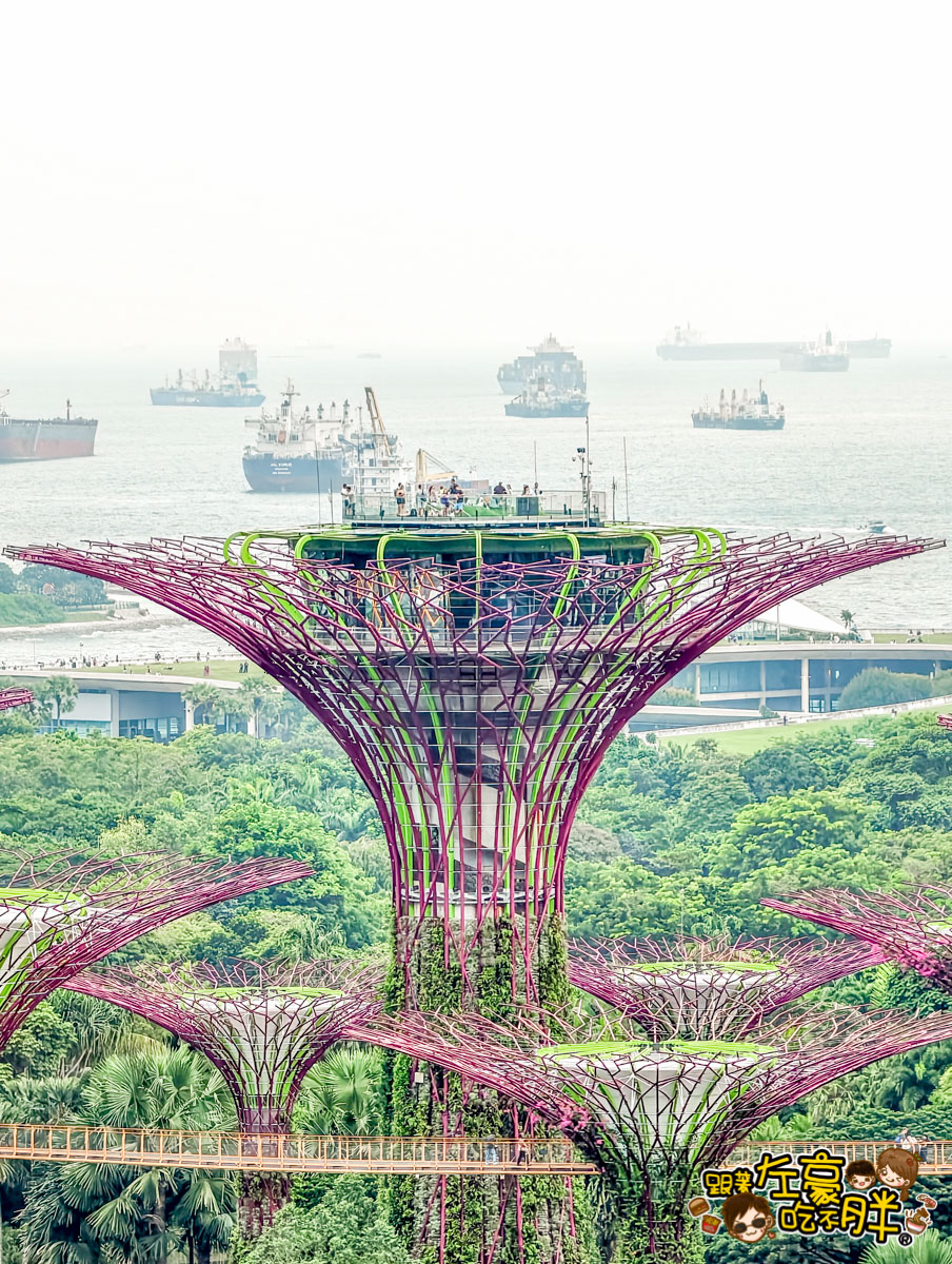 Marina Bay Sands,新加坡住宿,新加坡自由行,新加坡親子飯店推薦,新加坡金沙酒店,新加坡飯店,金沙購物中心,金沙酒店價格,金沙酒店房間,金沙酒店訂房