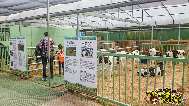 屏東熱帶農業博覽會 _6545