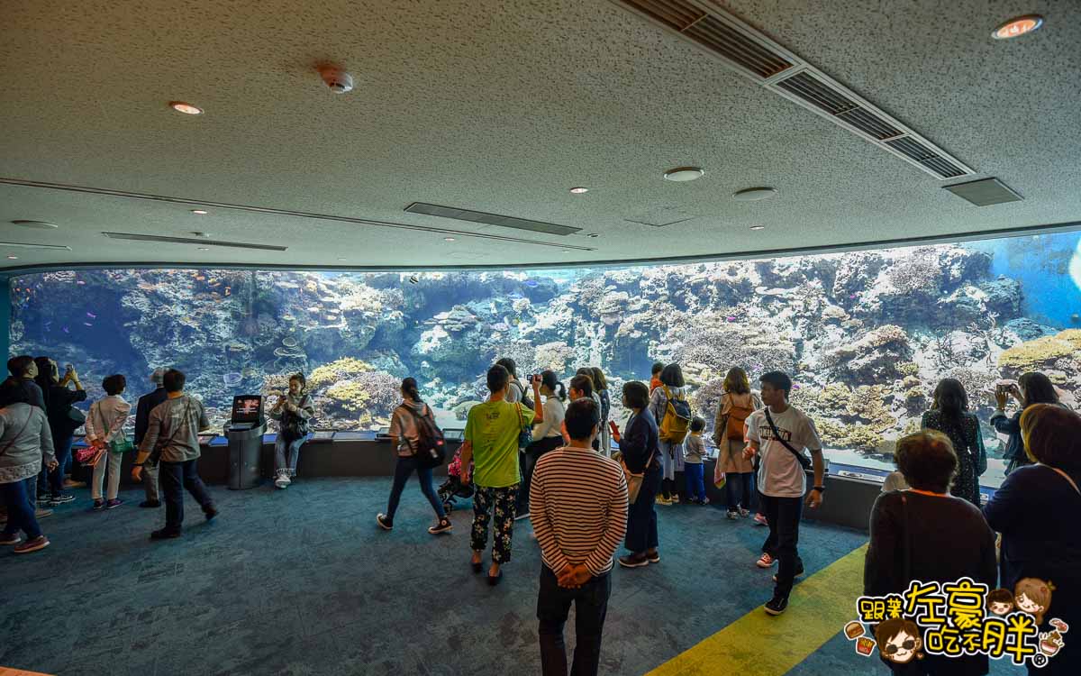 沖繩美麗海水族館-66