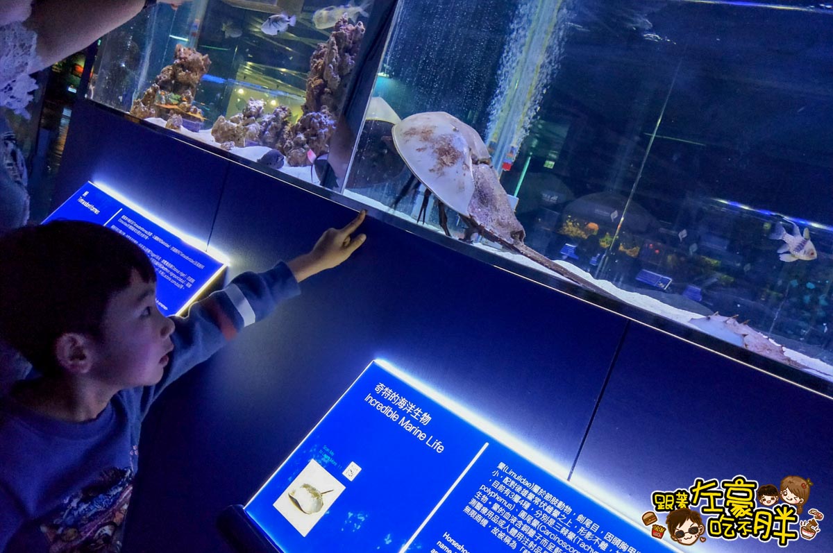 屏東生技園區國際級水族展示廳-23