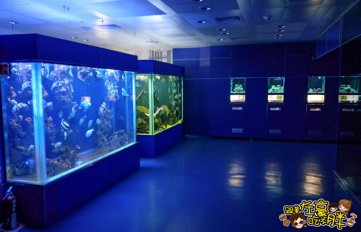 屏東生技園區國際級水族展示廳-21