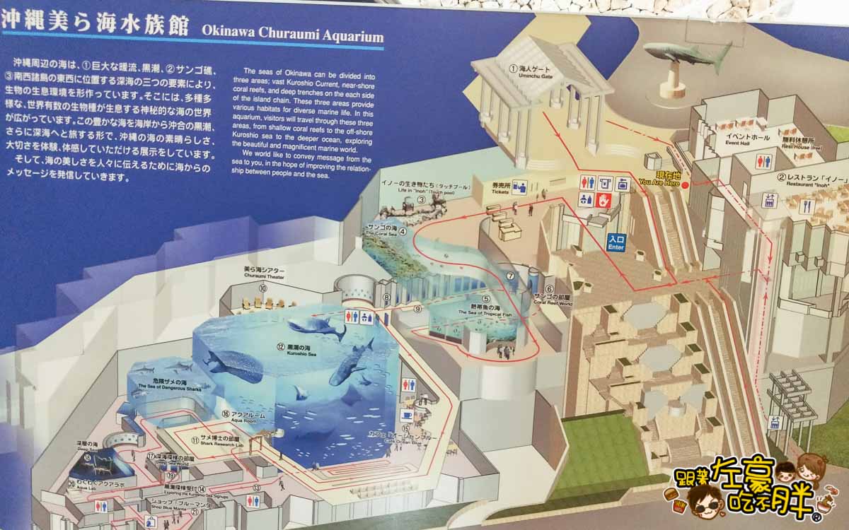 沖繩美麗海水族館-48