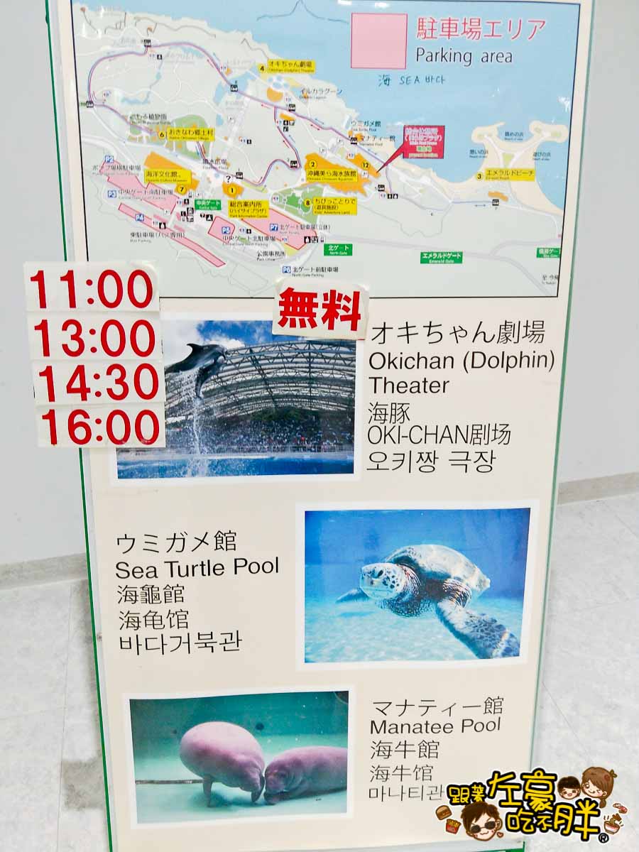 沖繩美麗海水族館-4