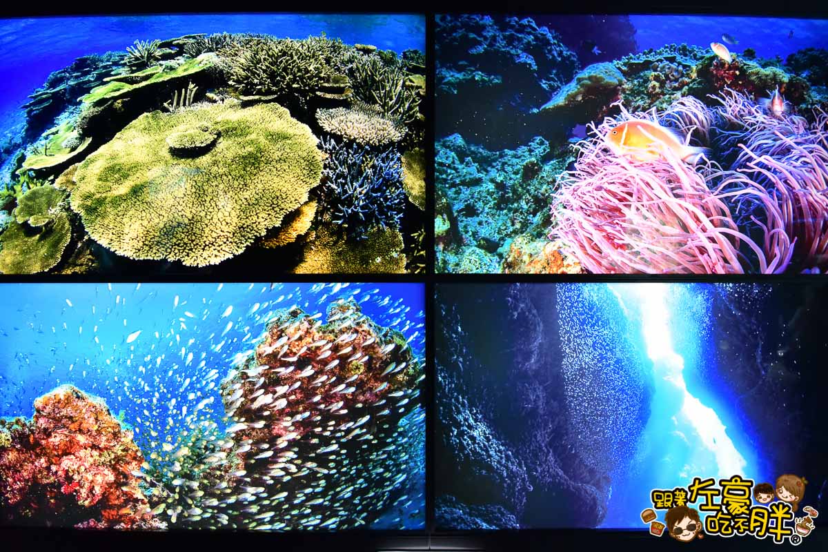 沖繩美麗海水族館-73