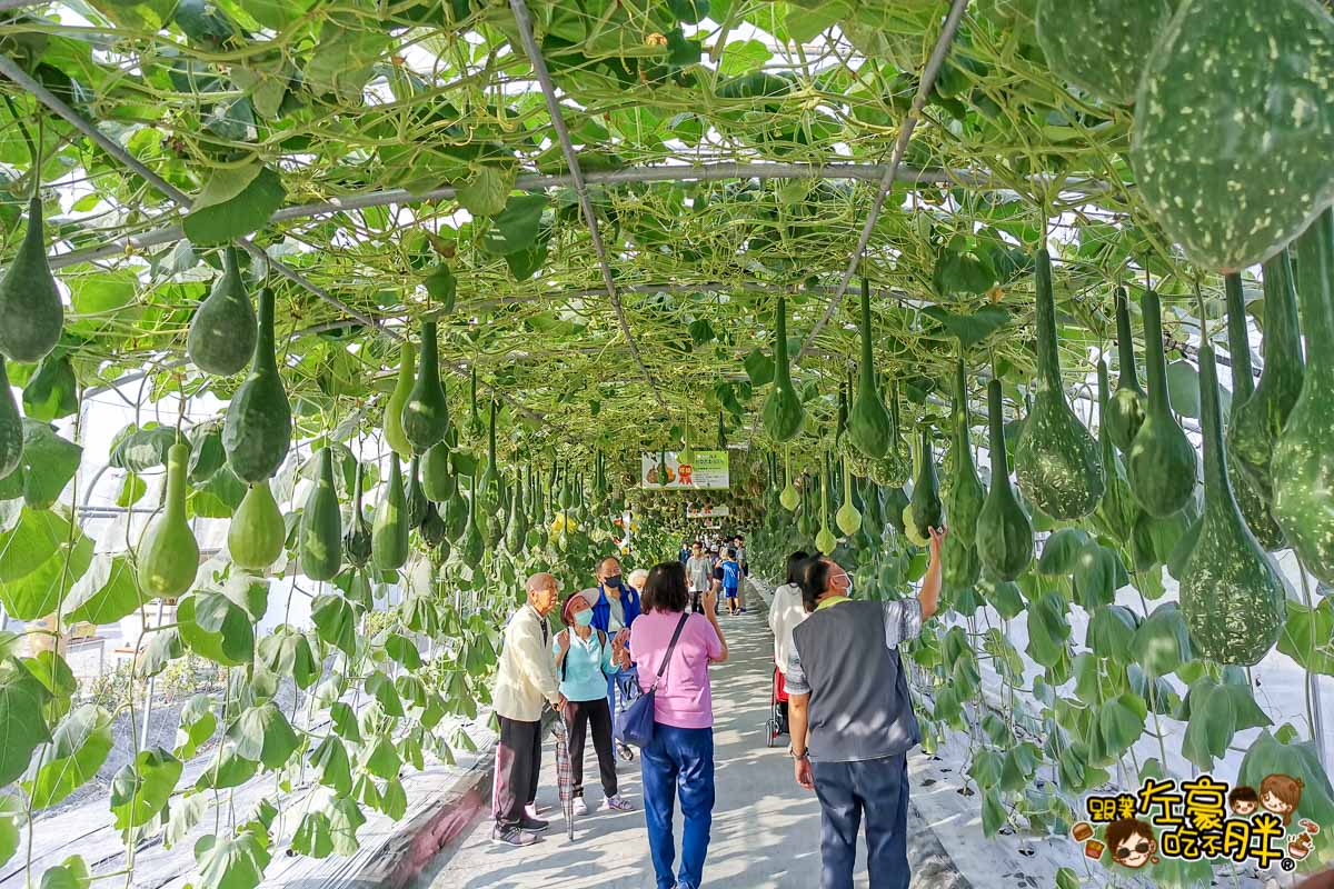 2021屏東農業博覽會-19