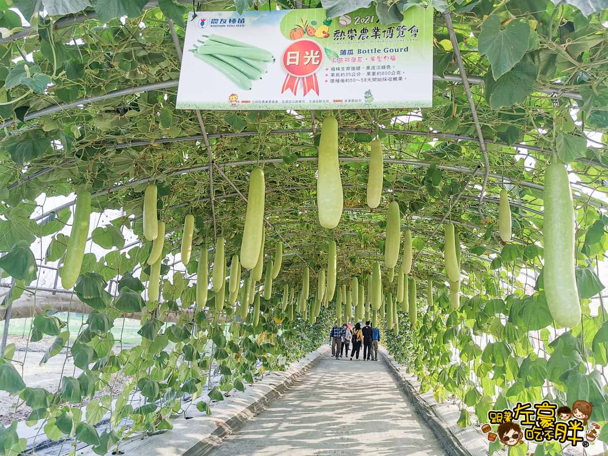 2021屏東農業博覽會-46