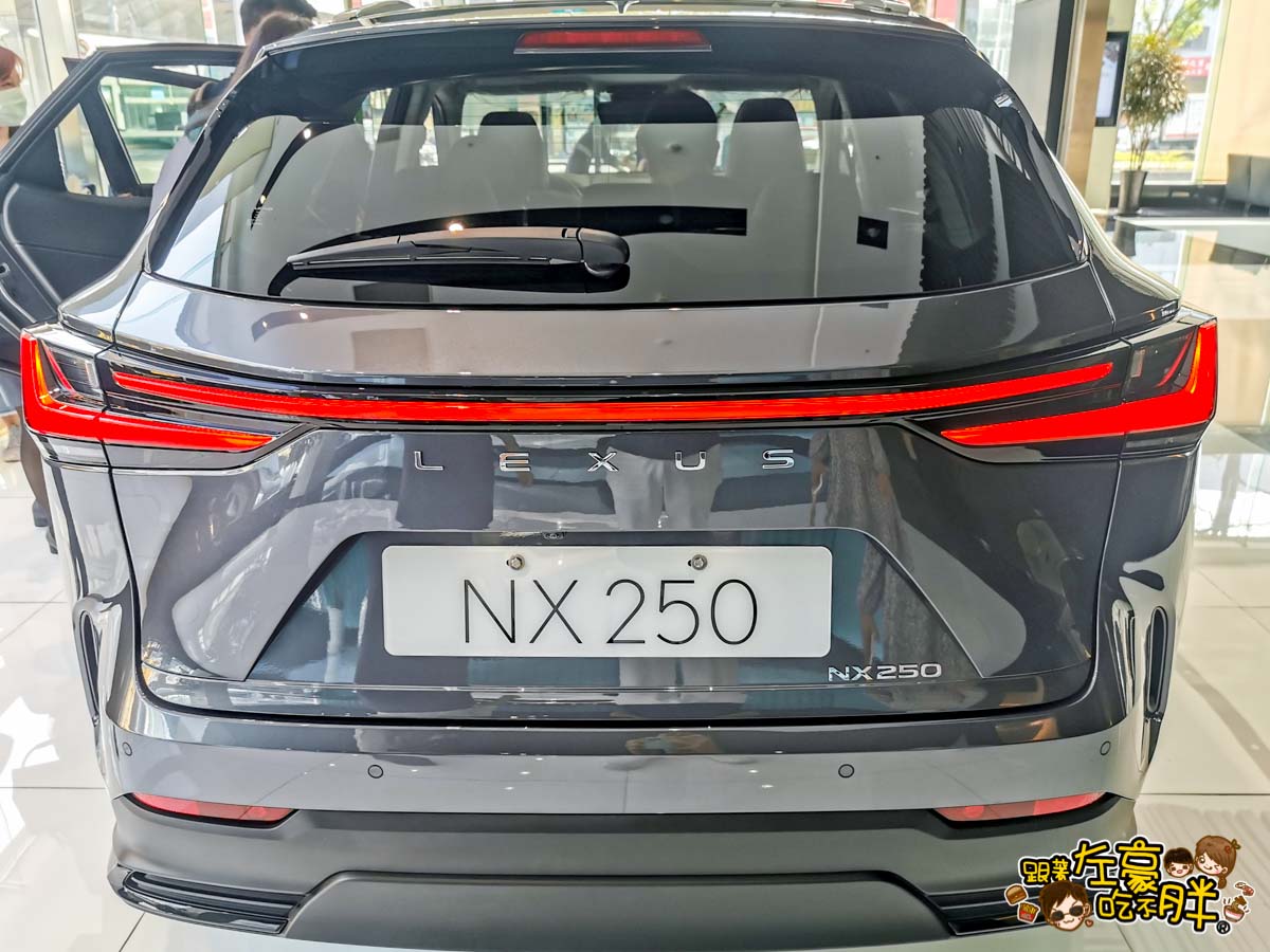 LEXUS NX250新NX-10