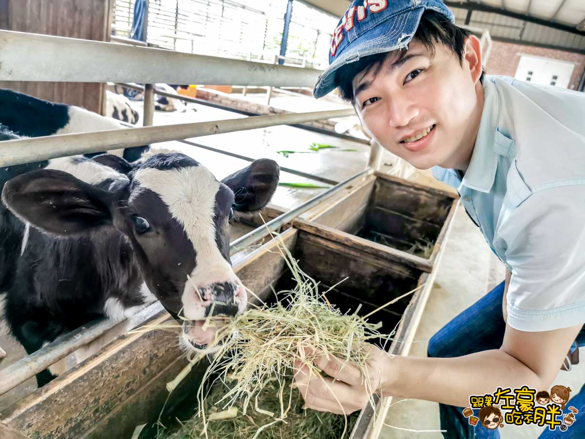 台南休農-乳牛的家-跟著節氣玩南農-23